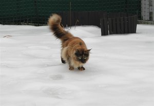 IMG_3305 (Large).JPG