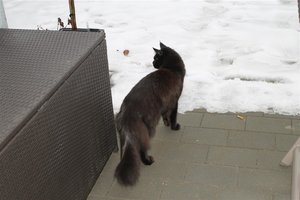 IMG_3286 (Large).JPG