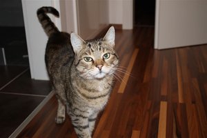 IMG_3309 (Large).JPG