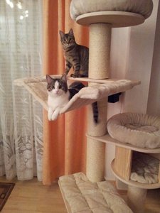 KB Vicky und Lusy.jpg