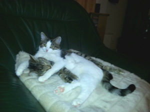 2013-12-09 21.18.31 (2).png