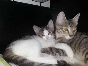 im Büro 19082013 d.jpg