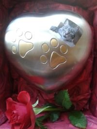 Krümels schöne Herzurne klein.jpg