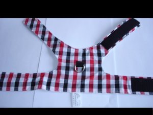 muster geschirre 002.JPG