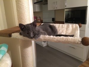 Timmy (blau) & Teddy 8.2 - 16.2 (192).jpg