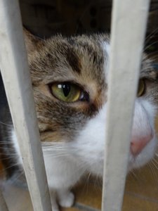 DSC02618 (480x640).jpg