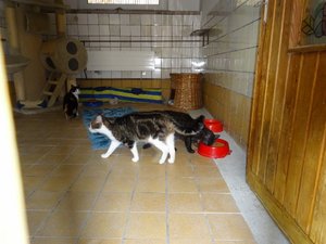 DSC02621 (640x480).jpg