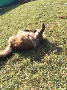 ImageUploadedByTapatalk1392984618.855839.jpg ImageUploadedByTapatalk1392984618.855839.jpg