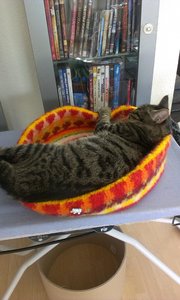 Nicole Handy 2014 2005.jpg