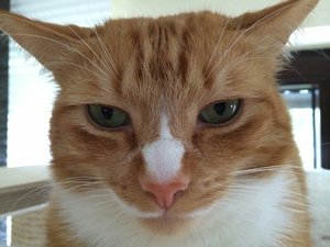 uploadfromtaptalk1393179011939.jpg uploadfromtaptalk1393179011939.jpg