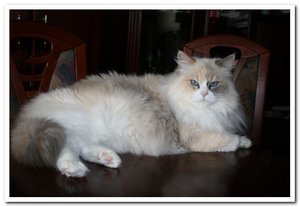 2012-03-01 29.02.2012_001.jpg