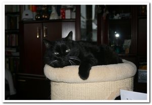 2013-01-24 24.01.2013_00mohrle1.jpg