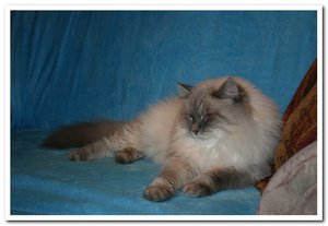 2012-12-19 18.12.2012_001papa querin.jpg