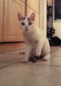 1535513_10200685848303284_711941203_n (1).jpg