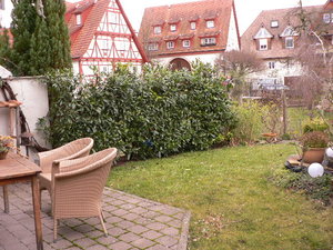 garten katzensichern 002.JPG