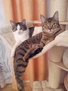 Lusy und Vicky 27022014 c.jpg