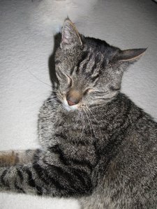 IMG_0287 (480x640).jpg