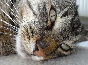 DSC00599 (640x470).jpg