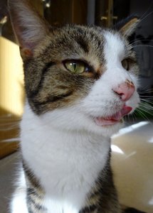 DSC02699 (458x640).jpg