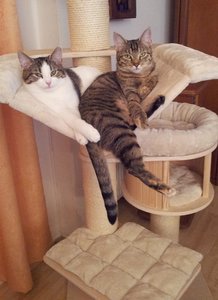 Lusy und Vicky 27022014 (2).jpg