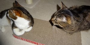 DSC02815 (640x321).jpg