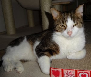 DSC02818 (640x541).jpg