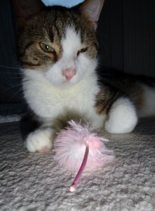 DSC02799 (471x640).jpg