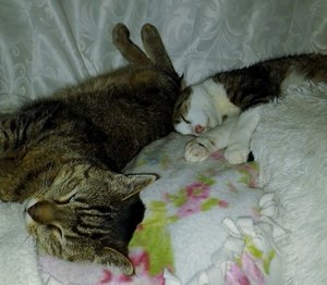 20140228_224627 (640x557).jpg