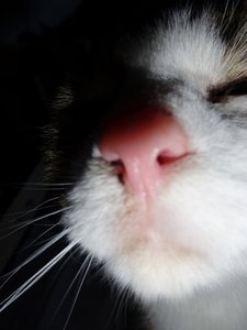 DSC02800 (480x640).jpg