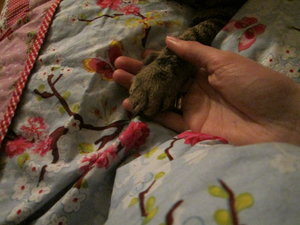 Ich bin für Dich da.JPG