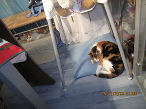 feli und henry pennen 2.JPG