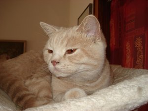 max ein jahr alt 001.jpg