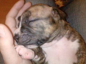 P1856[01]_24-09-10 (2).jpg