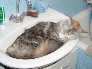 P7200008 - Kopie.JPG