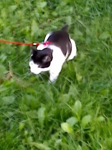 Mütze's 3.Freigang 004.jpg