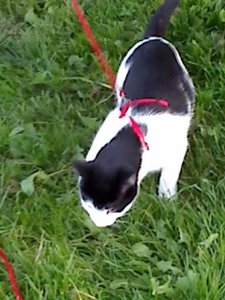 Mütze's 3.Freigang 005.jpg