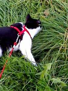 Mütze's 3.Freigang 007.jpg