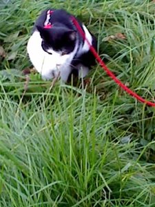 Mütze's 3.Freigang 009.jpg