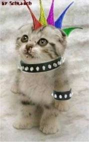 Punkkatze.jpeg