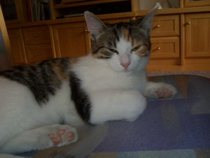 Ylvie auf einem Stuhl.jpg