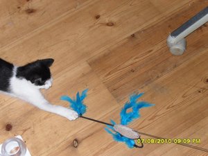 neue Mütze 2 006 [800x600].jpg