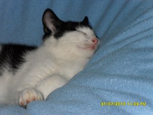 neue Mütze 010 [800x600].jpg