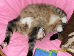 jungs 030 [800x600].jpg