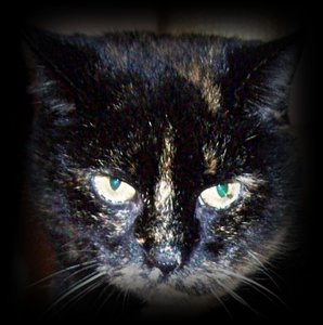 102_0108 - Kopie (2).JPG