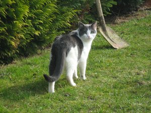 Minki, Bonny und Berry 153.jpg