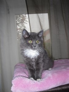 IMG_0178 (Large).JPG