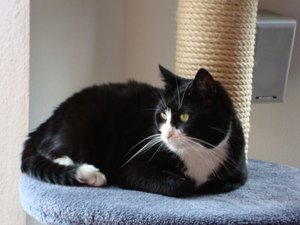 DSC00329 (640x480).jpg