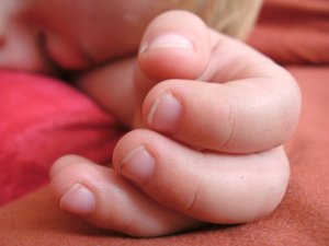 Lance Hand makro.jpg