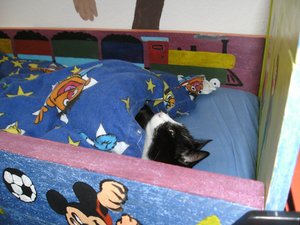 Teddy im Lancebett2.jpg