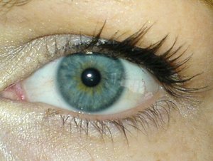 eye1.JPG